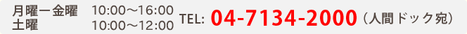 月曜〜金曜 9:30〜17:00、土曜9:30〜12:00 TEL:04-7134-2000（人間ドック宛）