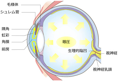 分類