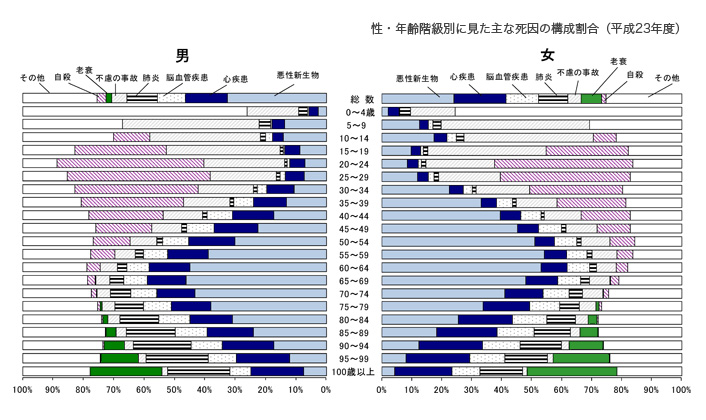 性・年齢階級別に見た主な死因の構成割合（平成23年度）